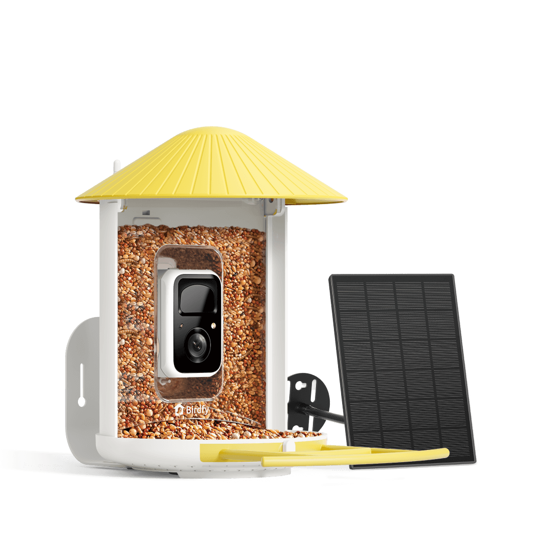 Birdfy Feeder with Solar Panel - Solar-Powered Smart Bird Feeder with Camera