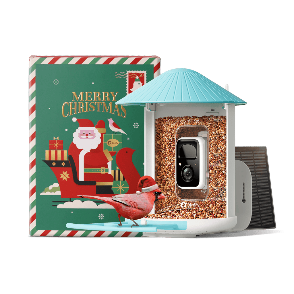 Birdfy Feeder with Solar Panel - Solar-Powered Smart Bird Feeder with Camera