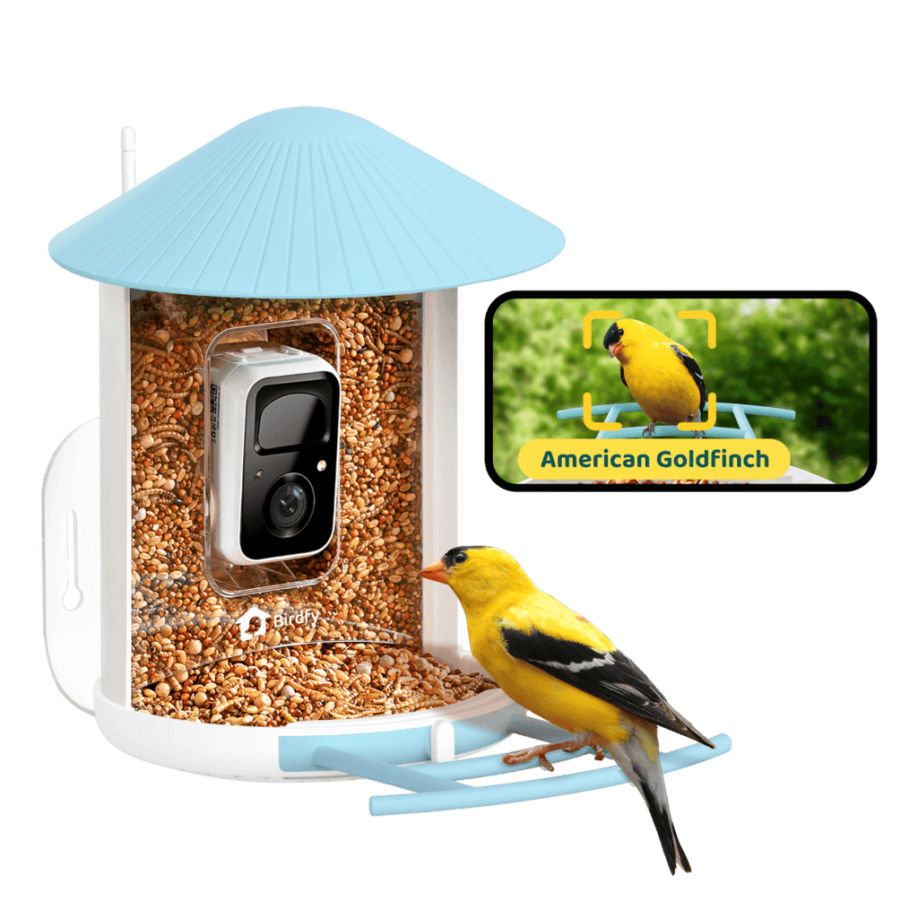 Birdfy Feeder - AI-Powered Smart Bird Feeder with Camera