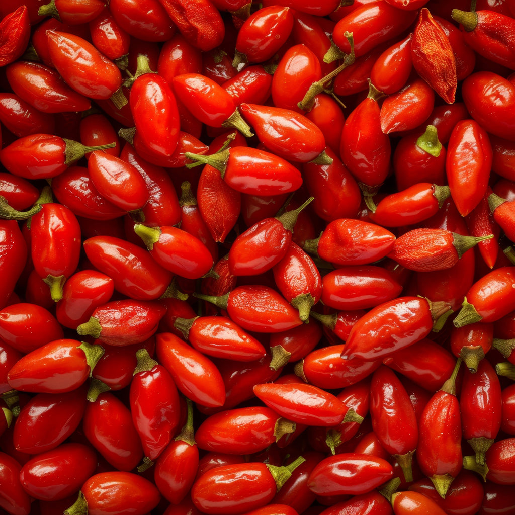 Sister Solution Fermented Turmeric and Fermented Barberry Powder Capsules