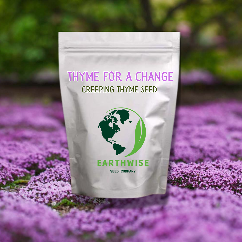 Thyme for a Change - Red Creeping Thyme Seed