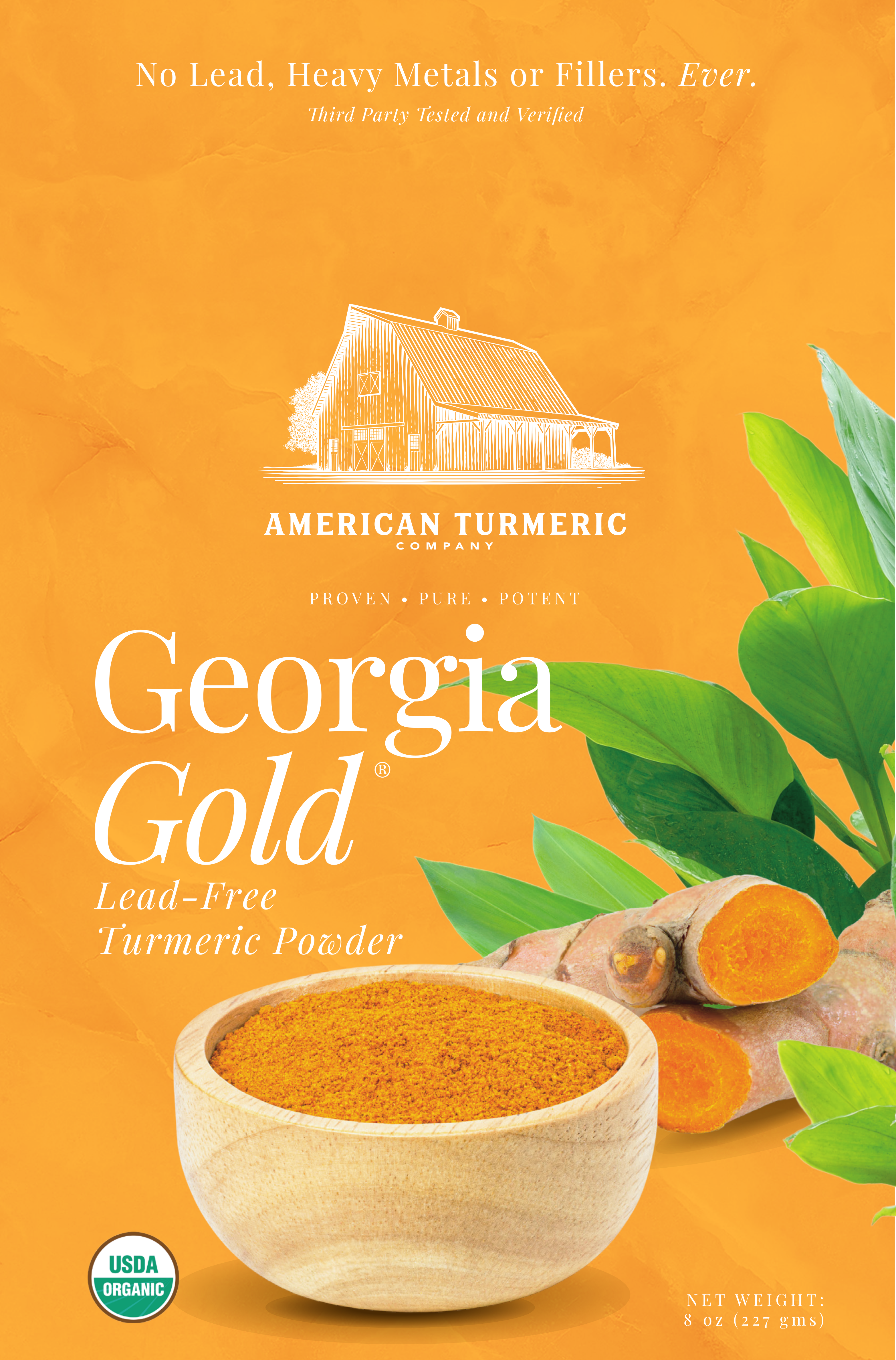 Unlock Superior Bioavailability and Joint Health with Probiotic-Enriched Fermentation - Georgia Gold Fermented Turmeric Powder - 1/2 lb