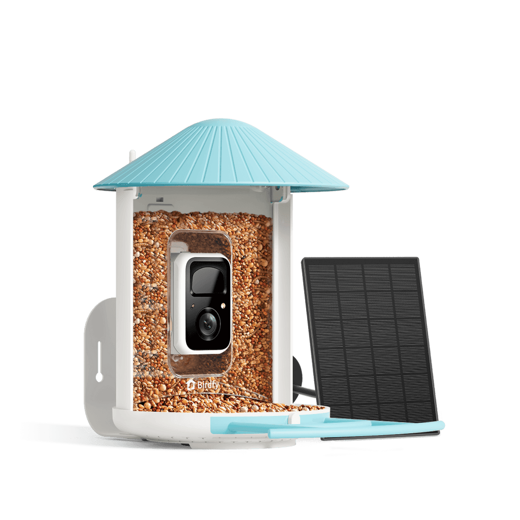 Birdfy Feeder with Solar Panel - Solar-Powered Smart Bird Feeder with Camera