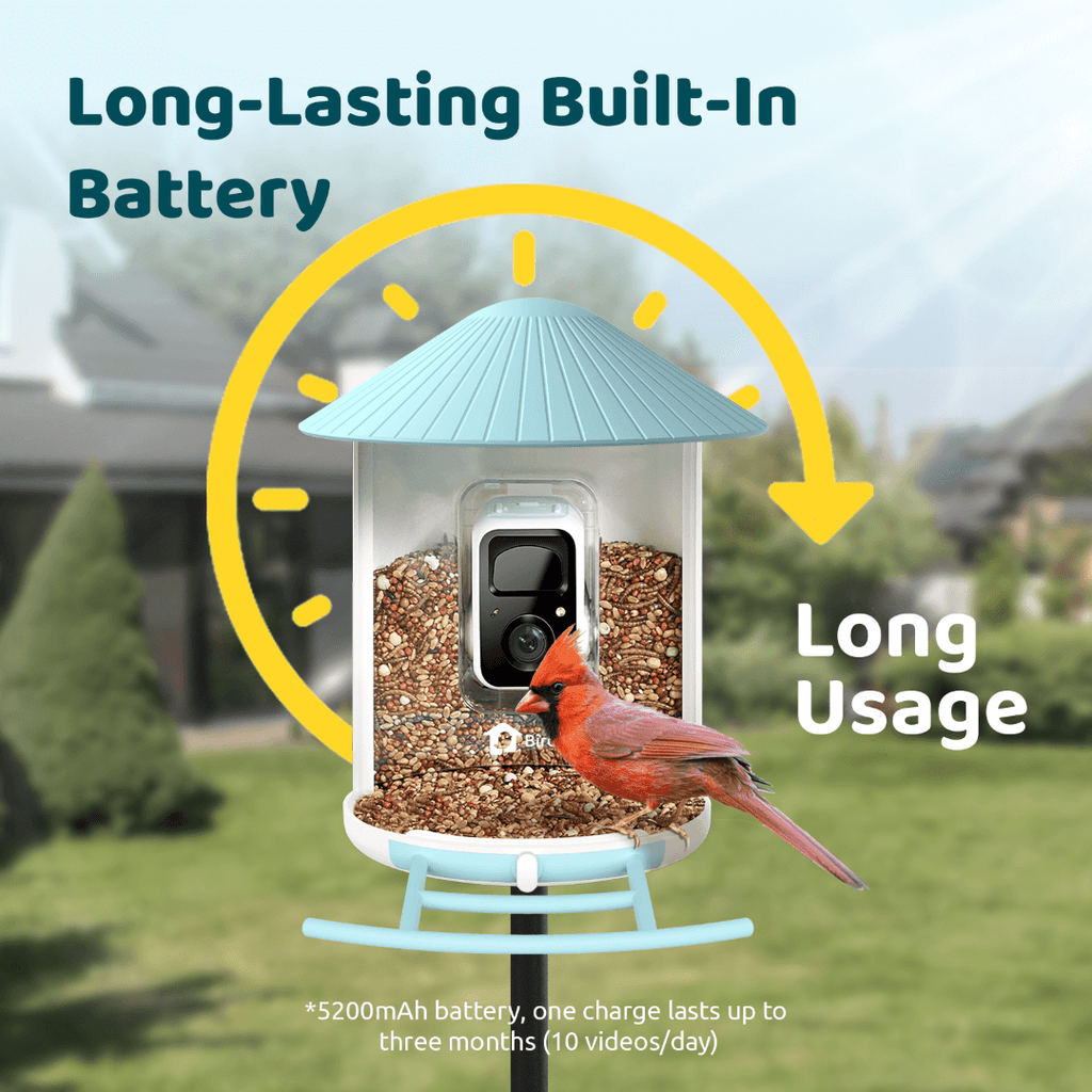 Birdfy Feeder with Solar Panel - Solar-Powered Smart Bird Feeder with Camera