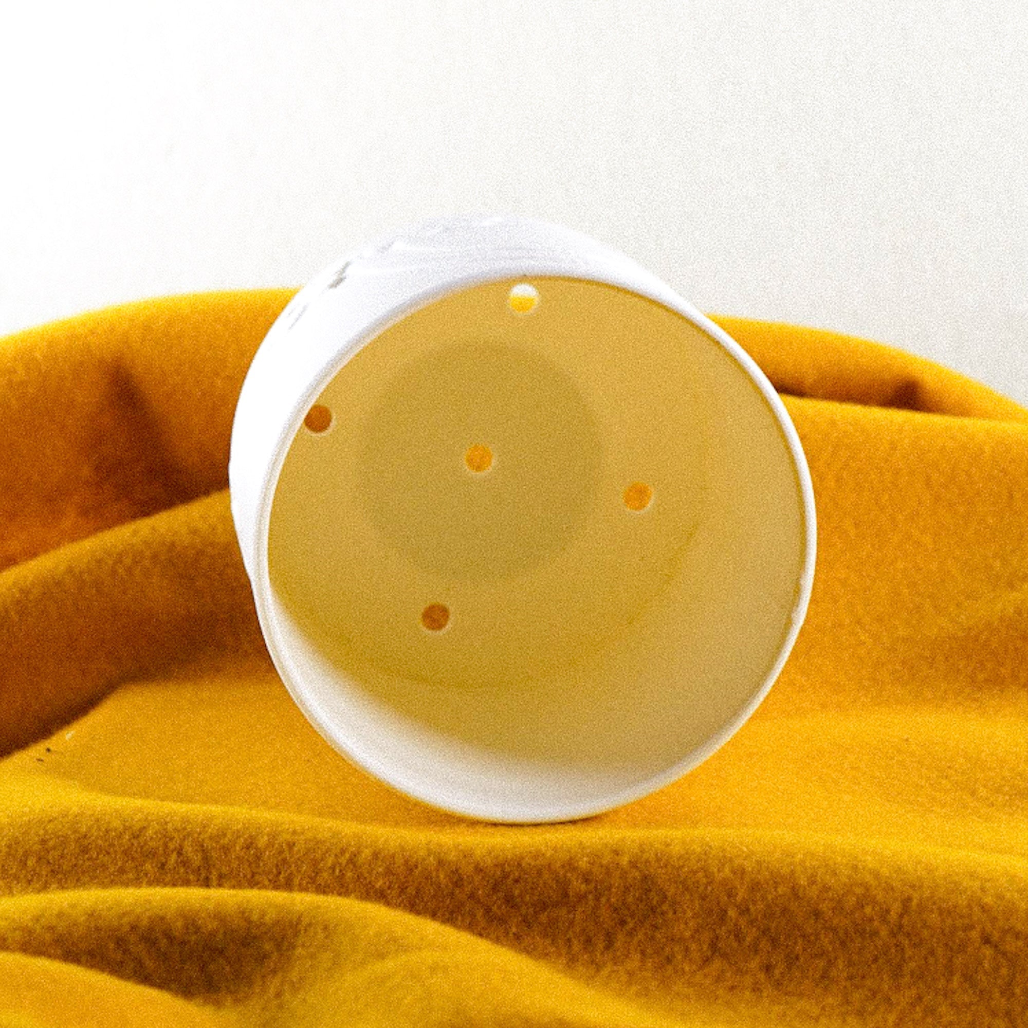 Daisy Rainbow Planter