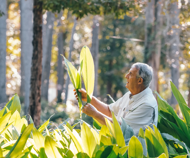 Capture the Essence of Turmeric’s Healing Power with Fermented Potency: CurcumaMAX Turmeric Oil