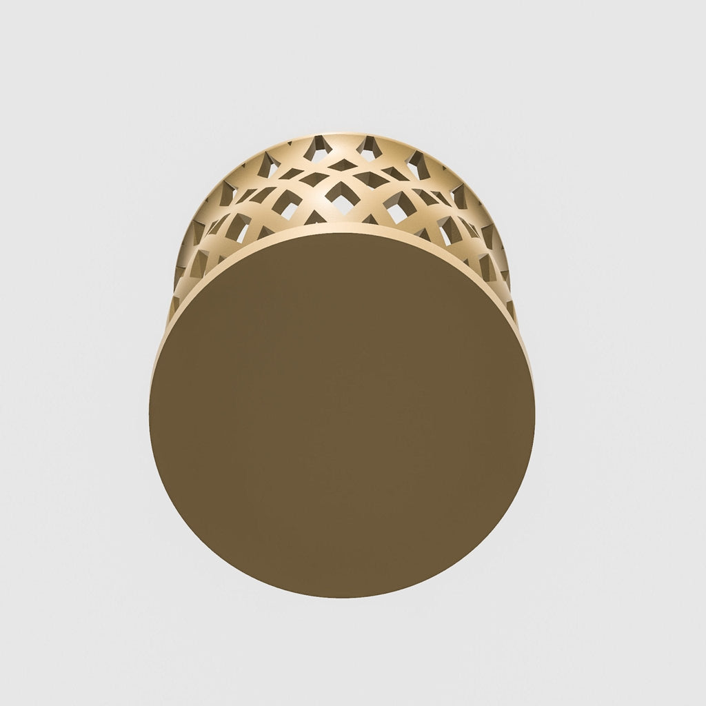 Capricious Orchid Planter Pot